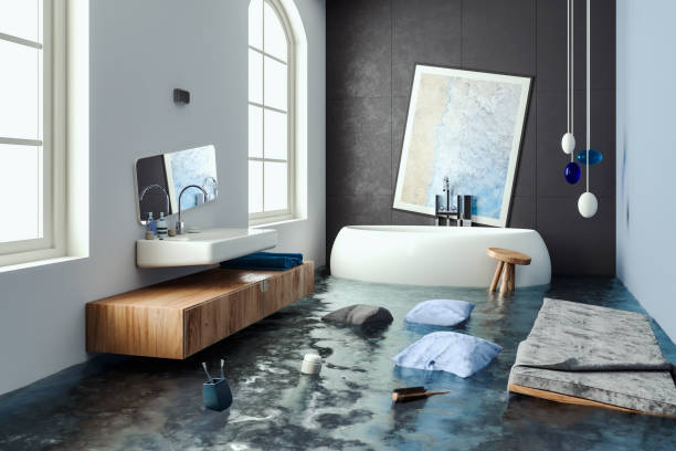 Best Professional water damage repair  in Union, OH