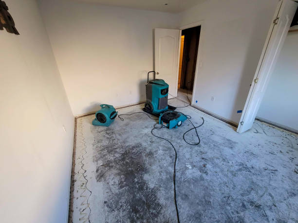 Best Water damage contractors near me  in Union, OH