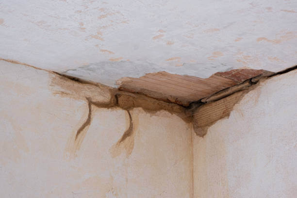 Best Carpet water damage restoration  in Union, OH