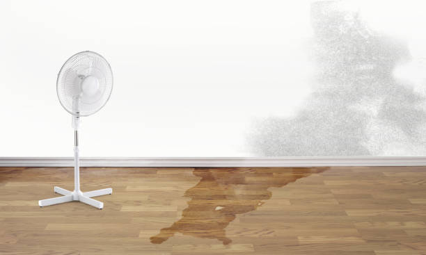 Best Water damage restoration insurance claims  in Union, OH