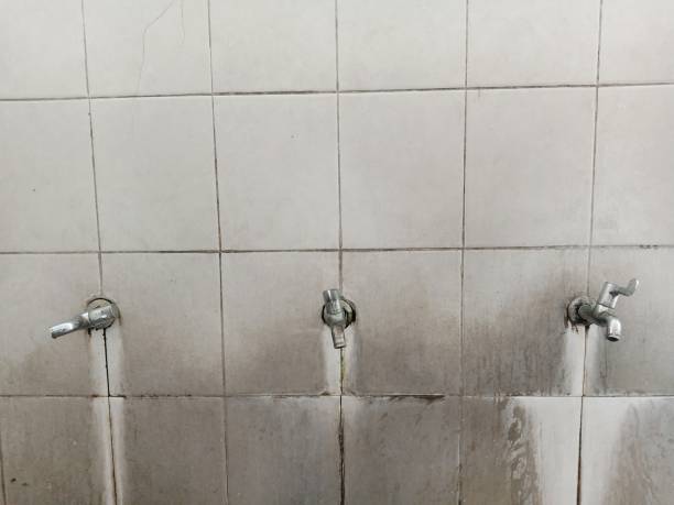 Best Local water damage restoration  in Union, OH