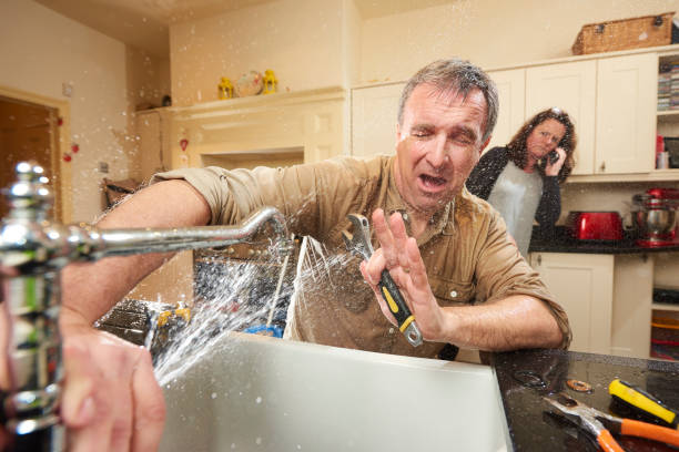Best Water damage cleanup near me  in Union, OH